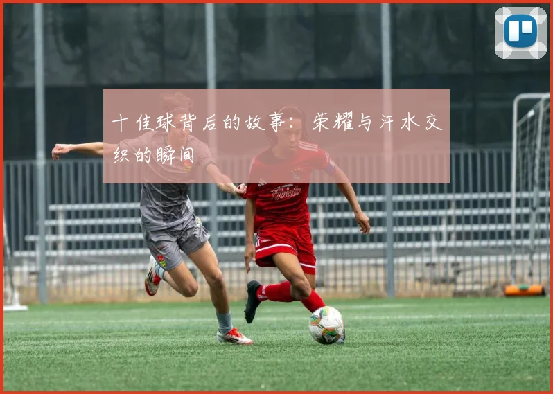 十佳球背后的故事:荣耀与汗水交织的瞬间