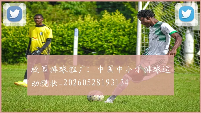 校园排球推广：中国中小学排球运动现状_20260528193134