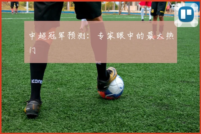 中超冠军预测:专家眼中的最大热门