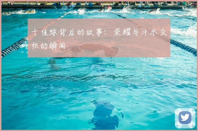 十佳球背后的故事：荣耀与汗水交织的瞬间