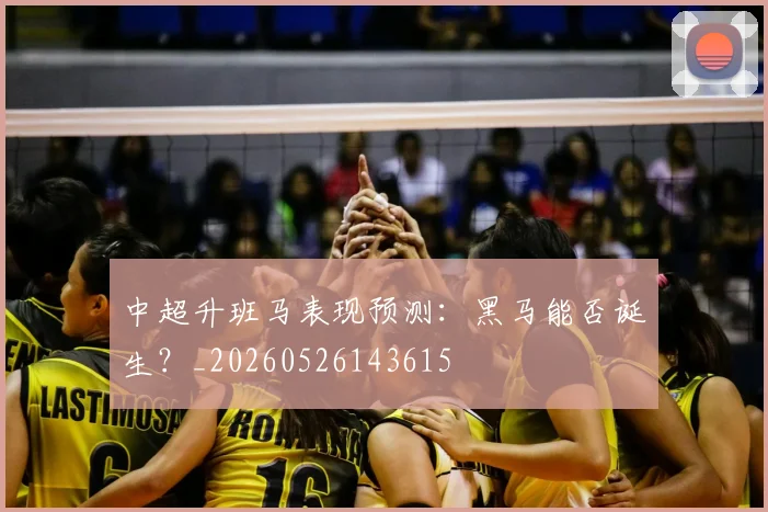 中超升班马表现预测:黑马能否诞生?_20260526143615