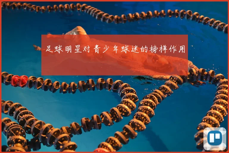 足球明星对青少年球迷的榜样作用